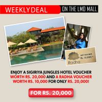 HOLIDAY OFFER