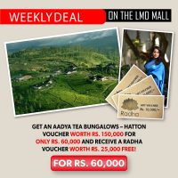 HILL COUNTRY HOLIDAY OFFER